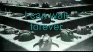 Simple Plan  I Can Wait Forever lyrics amp translation [upl. by Ricard]