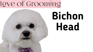 Bichon Head Grooming [upl. by Lisa124]