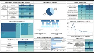 How to Create IBM HR Dashboard in Tableau  Data Analyst 100 projects  Analysis  Linkedin [upl. by Otcefrep164]