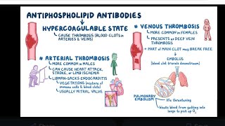 Mystery diagnosis antiphospholipid antibody syndrome [upl. by Macswan387]