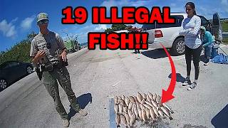 Illegal Fish Lead to 4 Misdemeanor Charges [upl. by Wivestad]