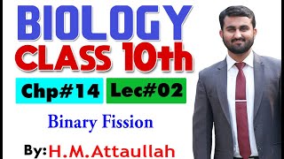 Binary fission  Chapter  14  Biology Class 10th  Lec 02 [upl. by Tarrsus]