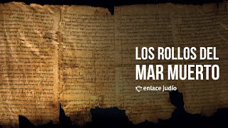 Los Rollos del Mar Muerto Una perspectiva histórica ✡️ Con Irving Gatell [upl. by Nedak]