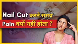 Nail Cut करते समय Pain क्यों नहीं होता  FactStar [upl. by Bough]