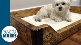 How to Build a Custom Dog Bed  DIY [upl. by Morganica342]