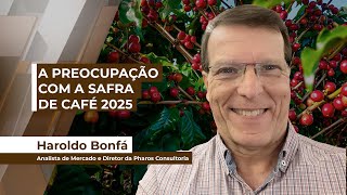 Mesmo com fundamentos baixistas mercado cafeeiro mantém tendência de alta nas cotações futuras [upl. by Annoyk558]