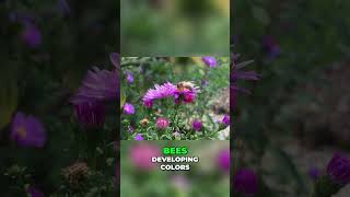 Beeutiful Buzz The Secret Dance Routine Guiding Pollinators [upl. by Elyk]