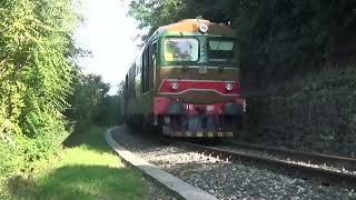 Sebino Express con la D445 1050 a Paratico  15 settembre 2024 [upl. by Shiff]