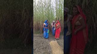 Anita Rajendrashorts shortsvideo shortsfeed youtubeshorts [upl. by Hesketh603]