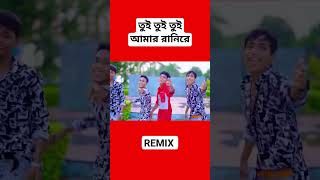 Tui Tui Tui Amar Rani Re Dj  Bangla Remix songs [upl. by Furnary884]