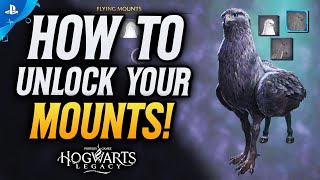 Hogwarts Legacy How To UNLOCK A Mount Thestral Mount Onyx Hippogriff [upl. by Kendall547]