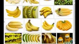 Spiras Favorite Mucusless Diet Healing System Foods Fruits Part 2 [upl. by Nuahsad711]