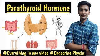 Parathyroid Hormone Parathyroid Gland PhysiologyEndocrine Physiology  Ashish Agrawal [upl. by Gievlos]