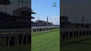 BREEDERS’ CUP CLASSIC 2024 [upl. by Essy]