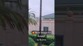 🇰🇷🍊3 day Trip to Jeju Island Without a Car  art museum aesthetic cafes what I ate  Korea VLOG [upl. by Sera]