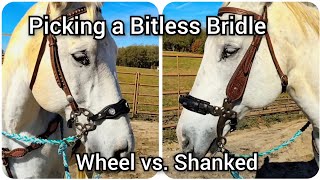 Picking a Bitless Bridle  Comparison between shanked hackamore and wheel hackamore [upl. by Karalynn499]