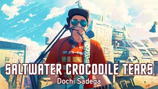 Dochi Sadega  Saltwater Crocodile Tears [upl. by Nyrraf785]