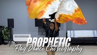 “Purified” Prophetic Flag Dance Choreography [upl. by Ahseal293]