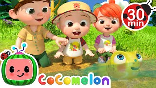 Down by the Pond  MORE CoComelon Nursery Rhymes amp Kids Songs [upl. by Enileuqaj]