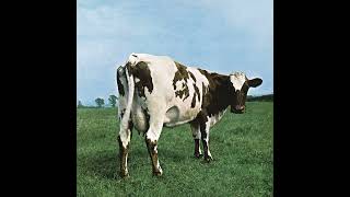 Pink Floyd  Atom Heart Mother [upl. by Lemrej]