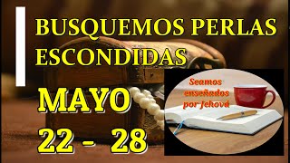 Busquemos perlas escondidas Semana Mayo 22  28 [upl. by Rosenquist417]