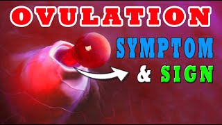 Ovulation Symptoms How To Know When You Are Ovulating 🥚 SIGNS EXPLAINED⚠️ [upl. by Ayhdnas136]