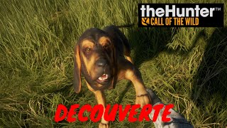 THE HUNTER COTW  Mon nouveau compagnon [upl. by Atile]