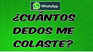 ¿CUANTOS DEDOS ME COLASTE Audios de WhatsApp [upl. by Eadnus]