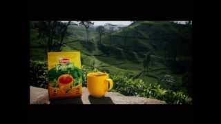 Lipton Ceylonta Sunshine Advertisement [upl. by Chung]