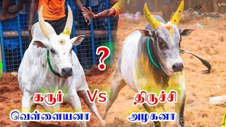 கரூர் வெள்ளை Vs டிபன்கடை அழகன் [upl. by Nnylatsyrc]