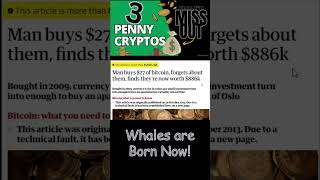 3 Penny Cryptos Man Buys Bitcoin pennycryptos [upl. by Yatnuahs]