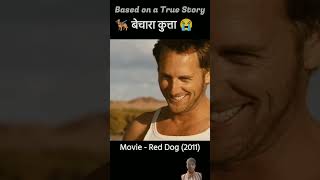 बेचारा कुत्ता 😱😱 shorts amazingfacts dog movie story [upl. by Yeung]