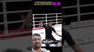 Mawashi Giri reaction shorts kick karate everyone viralvideo brucelee ipman jetlynive art [upl. by Arundel]