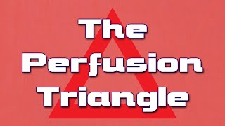 The Perfusion Triangle Explained  Something In About 5 Minutes  Medic Materials [upl. by Waiter863]