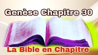 Genese Chapitre 30 [upl. by Aydiv925]