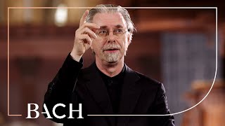 Van Veldhoven on Bach Cantata BWV 146  Netherlands Bach Society [upl. by Aihc]