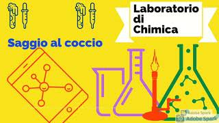 Laboratorio di chimica saggio al coccio parte 1 [upl. by Bowler]