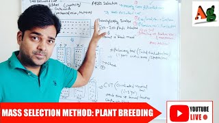 Mass Selection Method of Plant Breeding  Agriculture RS Rajput [upl. by Tshombe531]