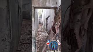 hospital de armero historia misterio naturaleza paranormal [upl. by Josie]