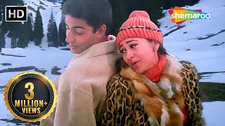 Hum Yaar Hain Tumhare  Haan Maine Bhi Pyaar Kiya 2002  Abhishek Bachchan Karishma Kapoor songs [upl. by Ramses426]