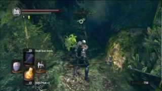 Dark Souls Expert Walkthrough 8  Darkroot Basin and Moonlight Butterfly Defeated [upl. by Ahseiyk]