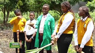 KITENGELA INTERNATIONAL SCHOOL Pupils Learn About Sugar Cane Farming [upl. by Hatokad]