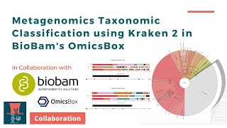 Metagenomics Taxonomic Classification using Kraken 2 in BioBams OmicsBox [upl. by Derr]