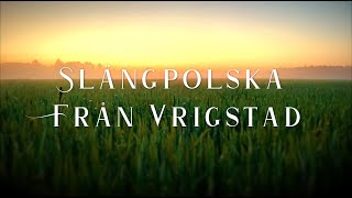 Slängpolska från Vrigstad [upl. by Zipporah965]