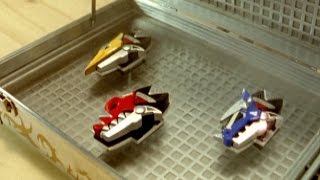 Chosen Power Rangers  E2 Day of the Dino  Dino Thunder  Power Rangers Official [upl. by Cirone770]