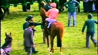 1983 2000 Guineas extended pre race footage Newmarket Lomond [upl. by Daitzman]