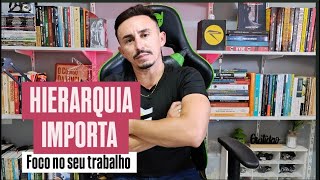 HIERARQUIA IMPORTA  Foco no seu trabalho [upl. by Ganiats322]