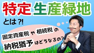 特定生産緑地とは？！固定資産税や相続税の納税猶予はどうなるの？ [upl. by Greerson554]