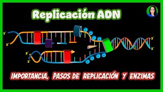 Replicación de ADN [upl. by Ahsal]