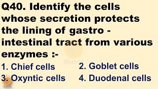 Illume Doubts 40  How GIT Mucosa is protected against Enzymes amp HCl   Dr Ghanshyam Jangid [upl. by Ennasus191]